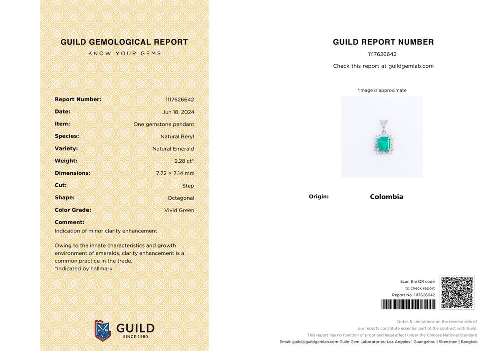 
                  
                    2.28ct Radiant Emerald w/Natural Diamond Halo Pendant in Platinum
                  
                